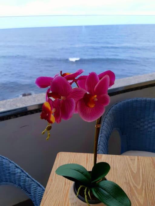 Ocean Orchidea Διαμέρισμα Πουέρτο Ντε Λα Κρουζ Εξωτερικό φωτογραφία